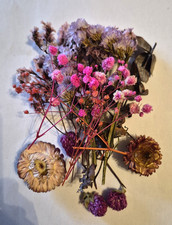 1Box Real Dried Flowers For Art Craft Epoxy Resin Jewellery Making pink