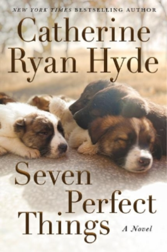 Catherine Ryan Hyde Seven Perfect Things (Taschenbuch) - Bild 1 von 1