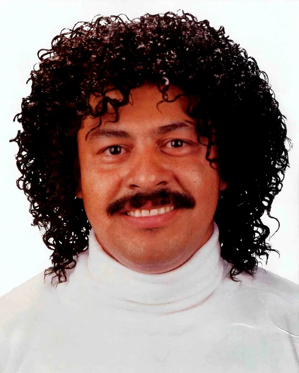 Jheri Curl Black Wig 80s Hair Jerry Afro Fro Pimp Prince Michael Jackson  Costume