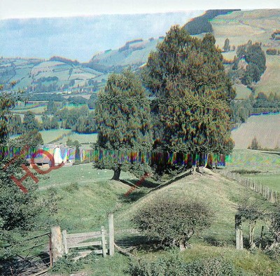 Ansichtskarte -: Offa's Dyke Path, oben entdeckt, Powys (schlechter Scan)