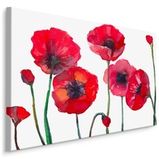 Canvas picture canvas wall art XXL dining room watercolor poppies decor 3D 1726