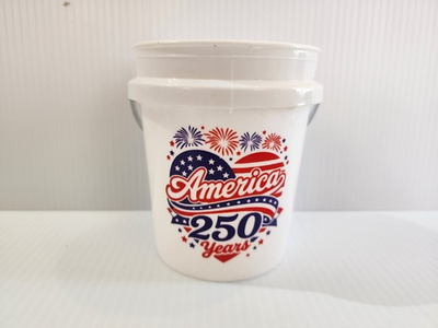 #ad America 250 Mini Bucket Available in Red White Blue 9 Different Logos Lowe#x27;s $8.99