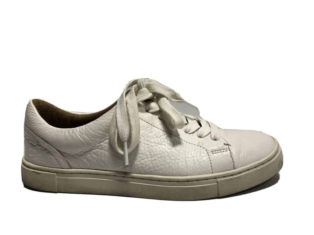 Frye women's ivy low lace sneaker 2025