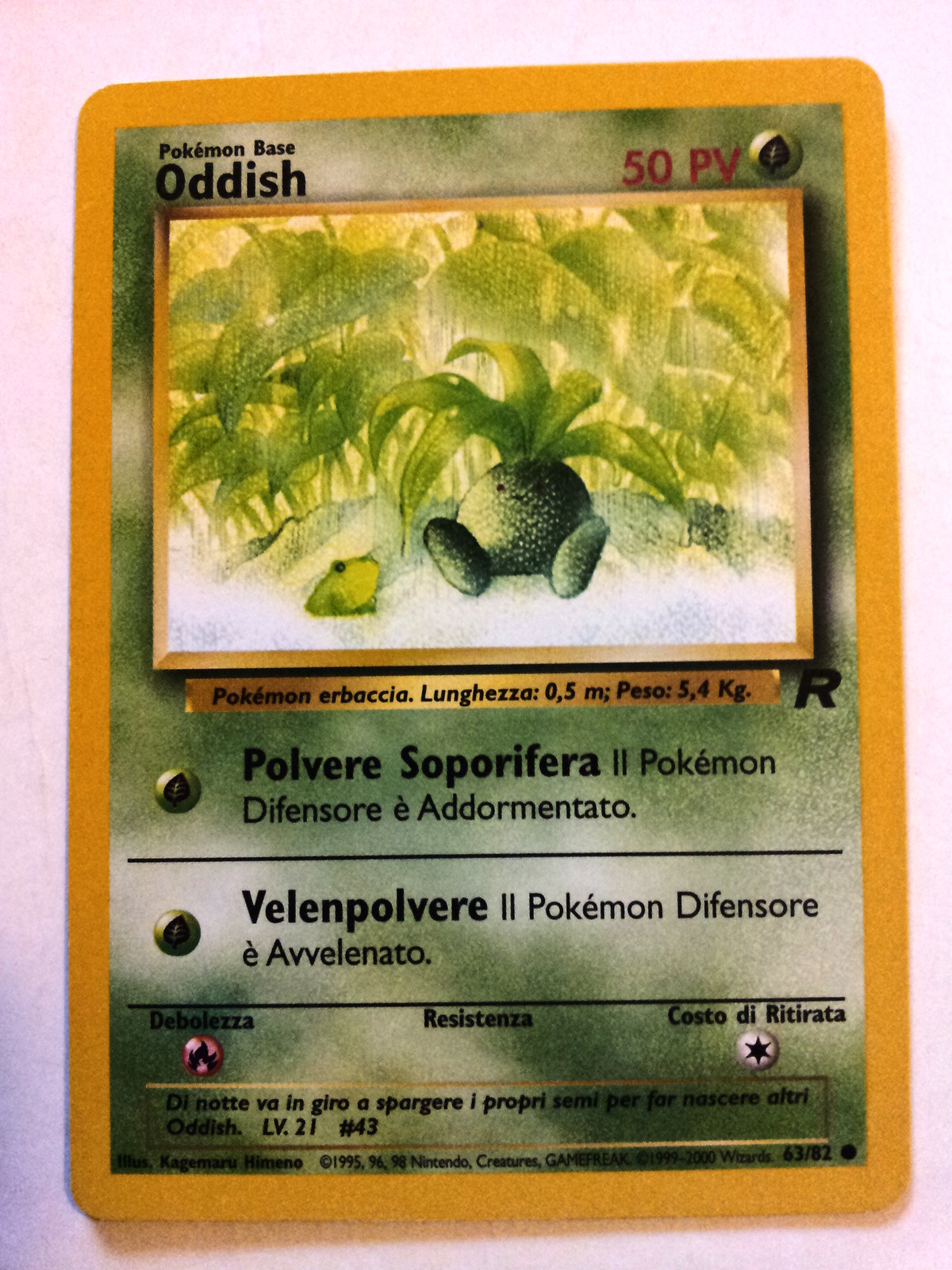 Foto 1 di 1