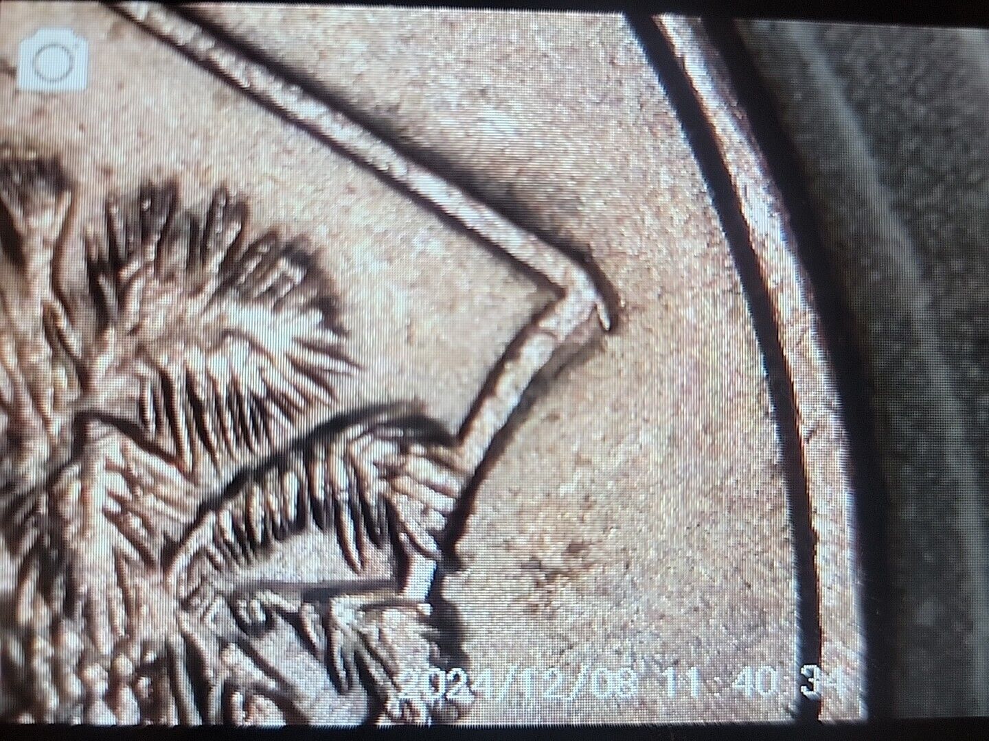 Picture 12 of 14