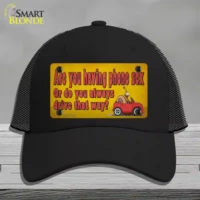 Are You Having Phone Sex Novelty License Plate Hat Tag