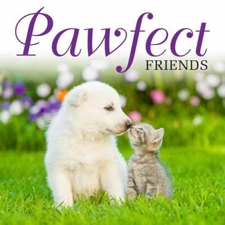 Pawfect Friends (Mini Gift) - Hardcover - GOOD