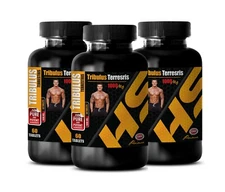 workout testosterone - TRIBULUS TERRESTRIS - Booster 180 Tablets 3 Bottles 