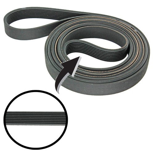 Secador de tambor de motor condensador de correa de transmisión KNIGHT BLANCO 77 AW 77AW 1860 mm H8 - Imagen 5 de 12