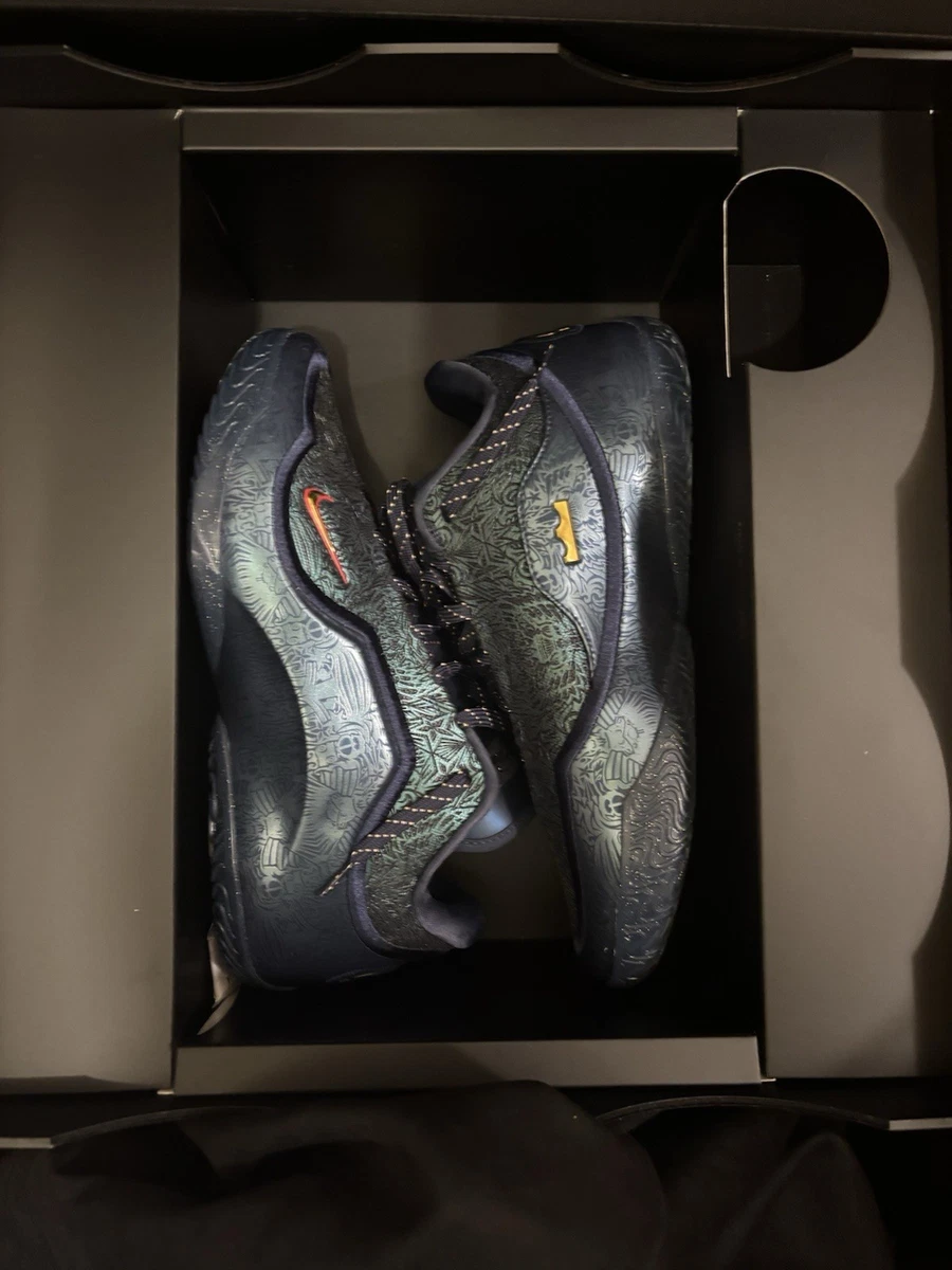 Nike Lebron 23 Out for Redemption for Sale | Authenticity