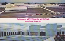 Split View-College of Veterinary Medicine-Iowa State University-AMES, Iowa