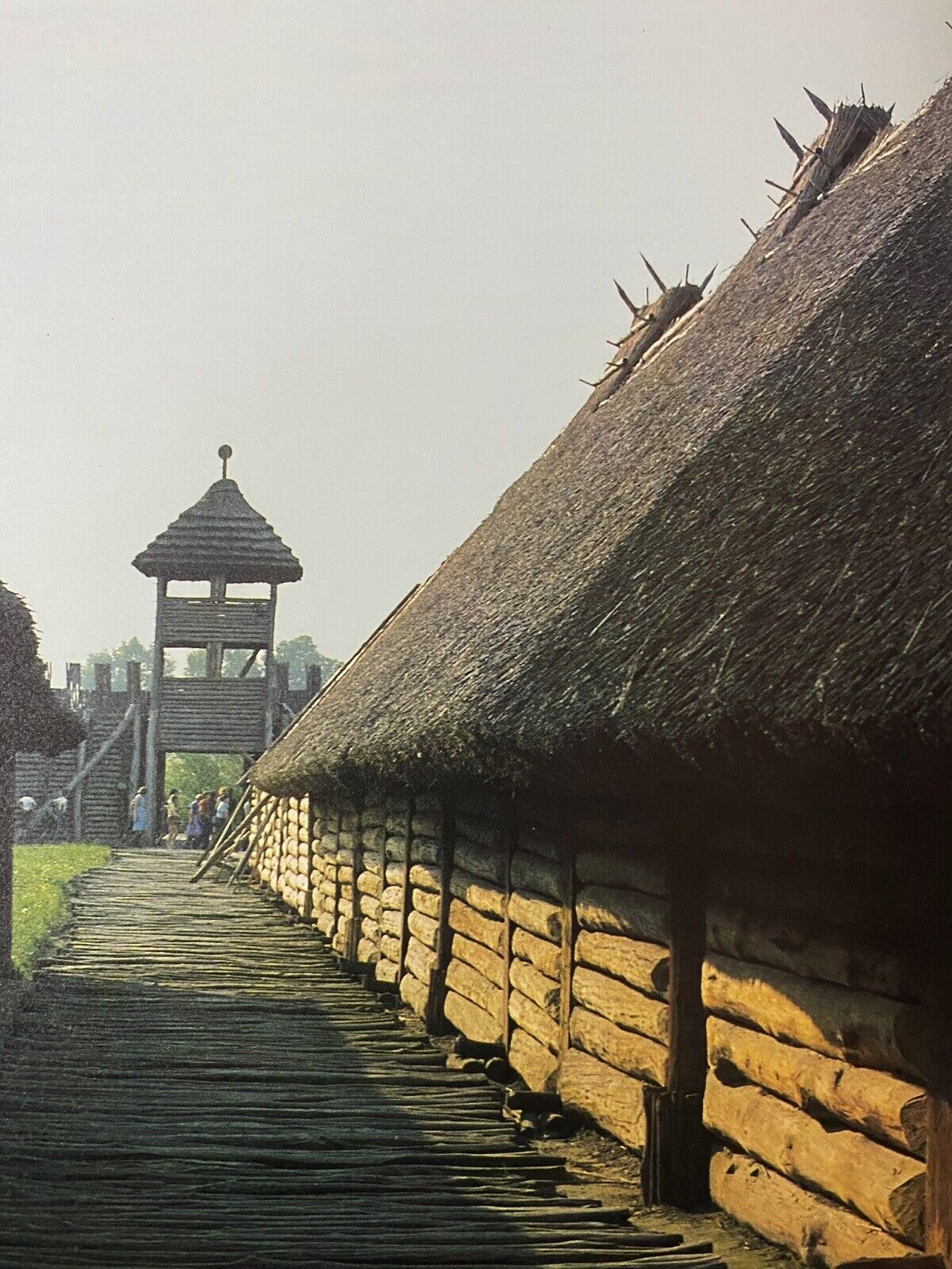 Picture 4 of 11