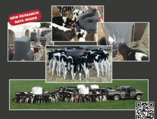 MilkBar Calf Feeders