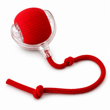 Interactive Cat Toy Ball Automatic Rolling USB Rechargeable for Indoor Cats