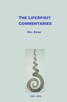 The Lifespirit Commentaries Ralph Fucetola Taschenbuch Kartoniert / Broschiert