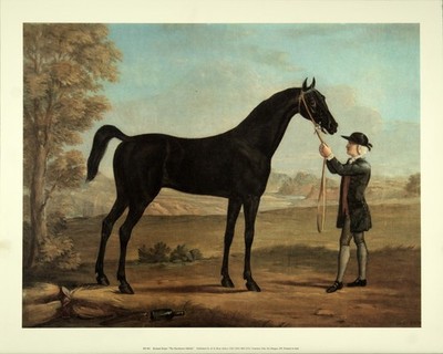 (16 x 20) Art Print RP001 Richard Roper The Racehorse Othello - Printed in Italy