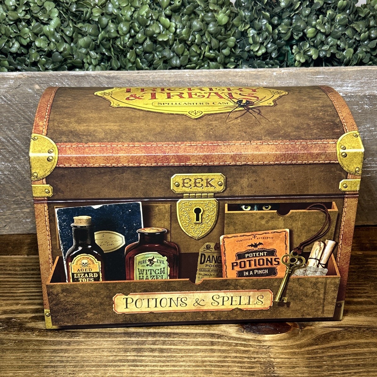 HALLMARK POTIONS & SPELLS Halloween Chest Spellmaster's Case Sound