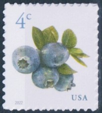 USA Sc. 5652-53 4c Blueberries 2022 MNH pane single, coil single & pair
