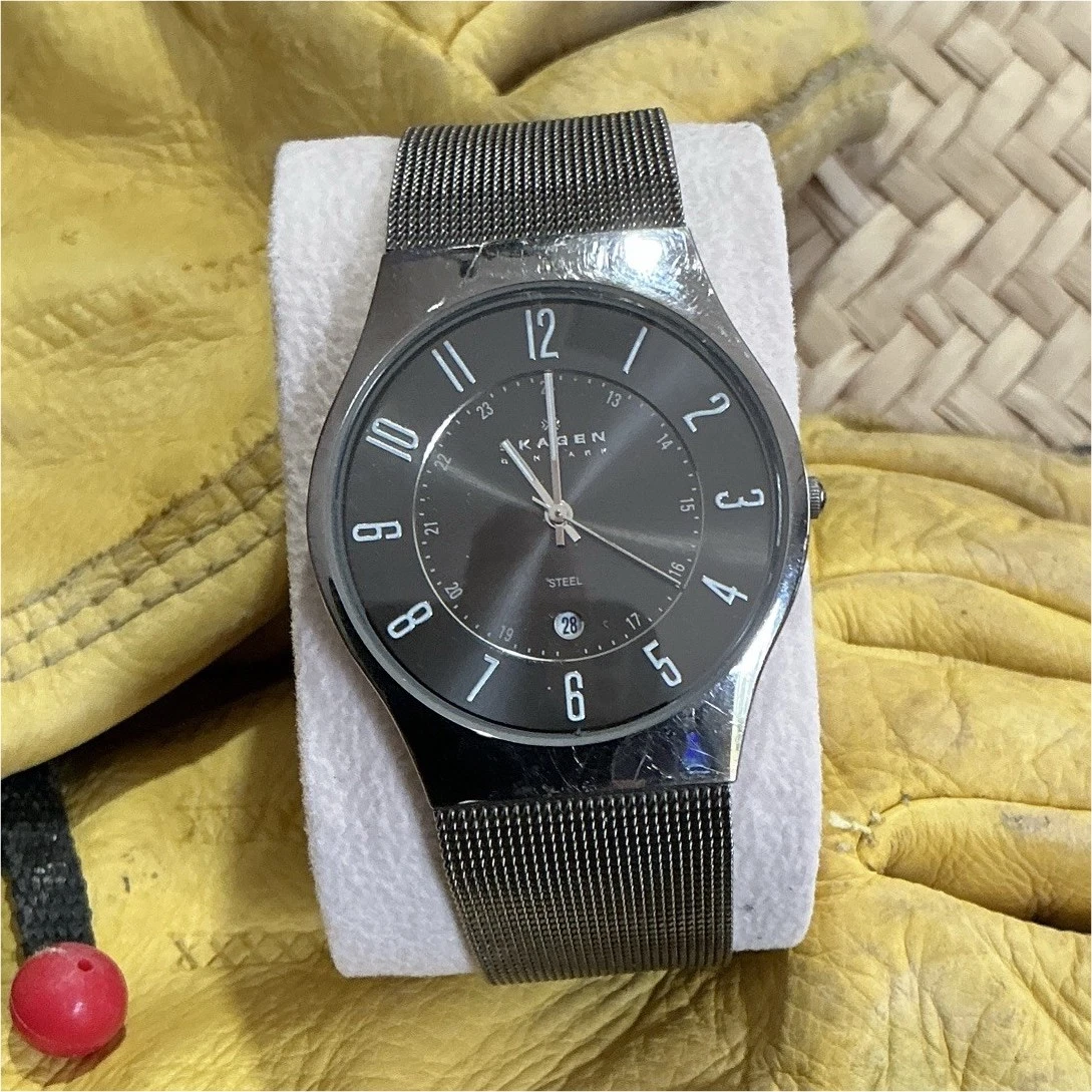 Skagen Stainless Steel Case Unisex Adults Wristwatches for  display picture 2