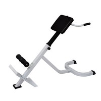 Back Extension Trainer Bench Roman Chair Fitness Exercise Folding Design vidaXL