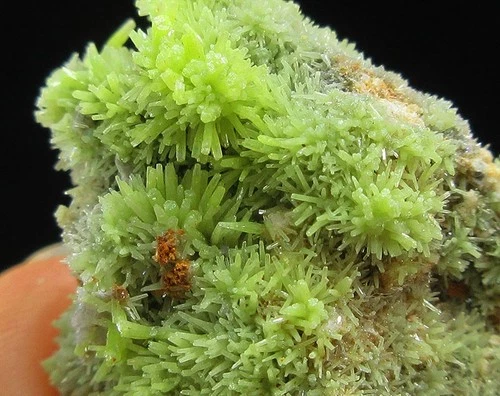 15g flowery green pyromorphite crystal mineral specimen Daoping,China!