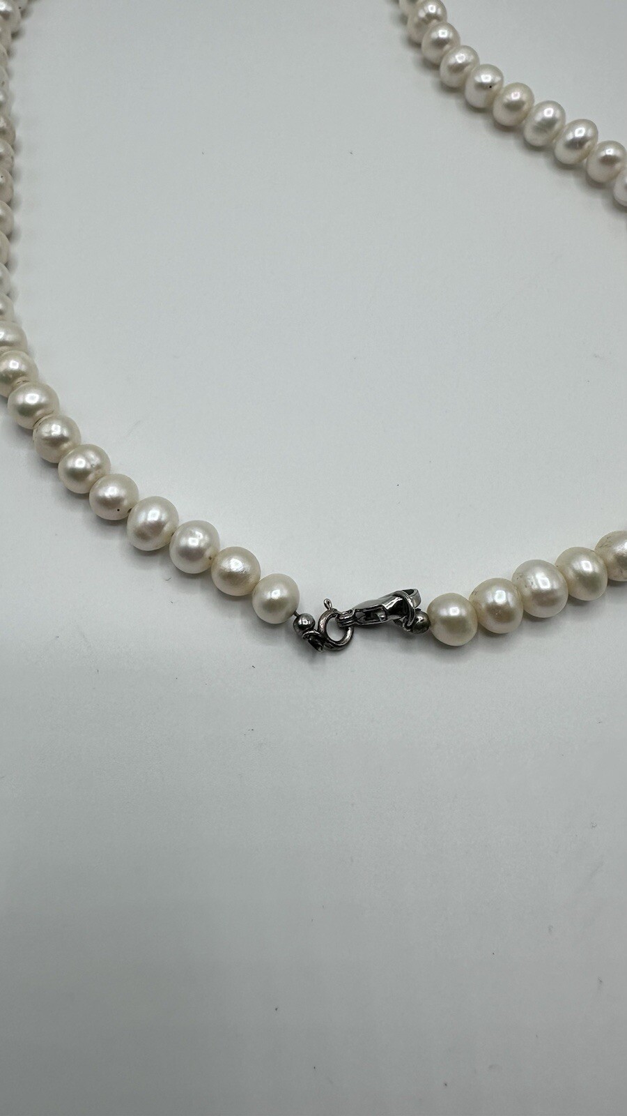 Picture 4 of 4