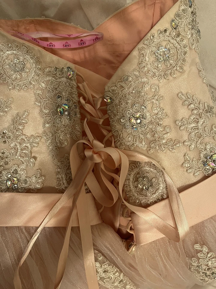 XV Vestido Hermoso Vestido Color Rubor Foto 4 de 4