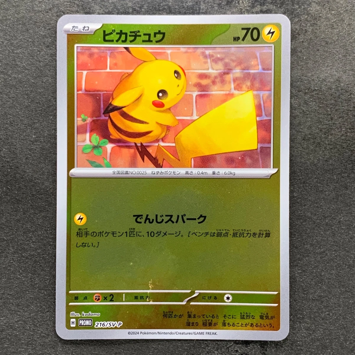 【PSA10】ピカチュウ P [SV-P 216] Preços baixos em Pikachu 216/SV-P Sv-P Promotional Cards | eBay