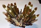 ECHINODERM - HETEROCENTRITUS MAMMILLATUS - 118/87mm