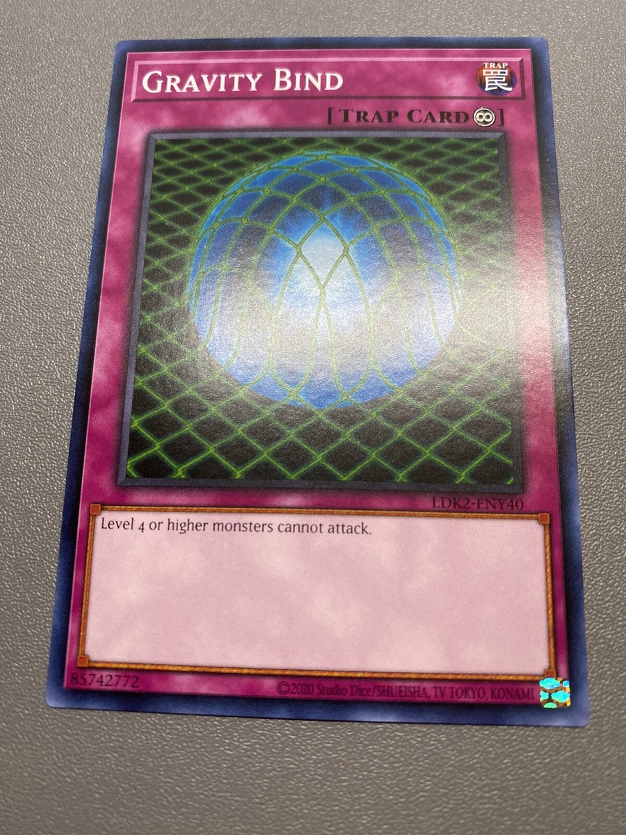 real and rare card shop THIS CARD SHOP IS SWEEEEET  #pokemoncards #pokemontcg #pokemoncardsopening