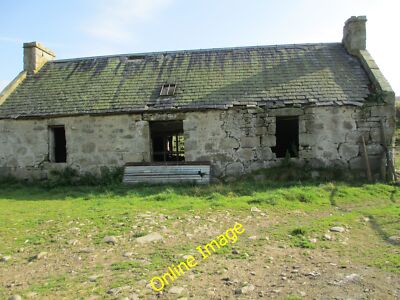 Photo 6x4 Easter Shennach Shennach Farm  c2014