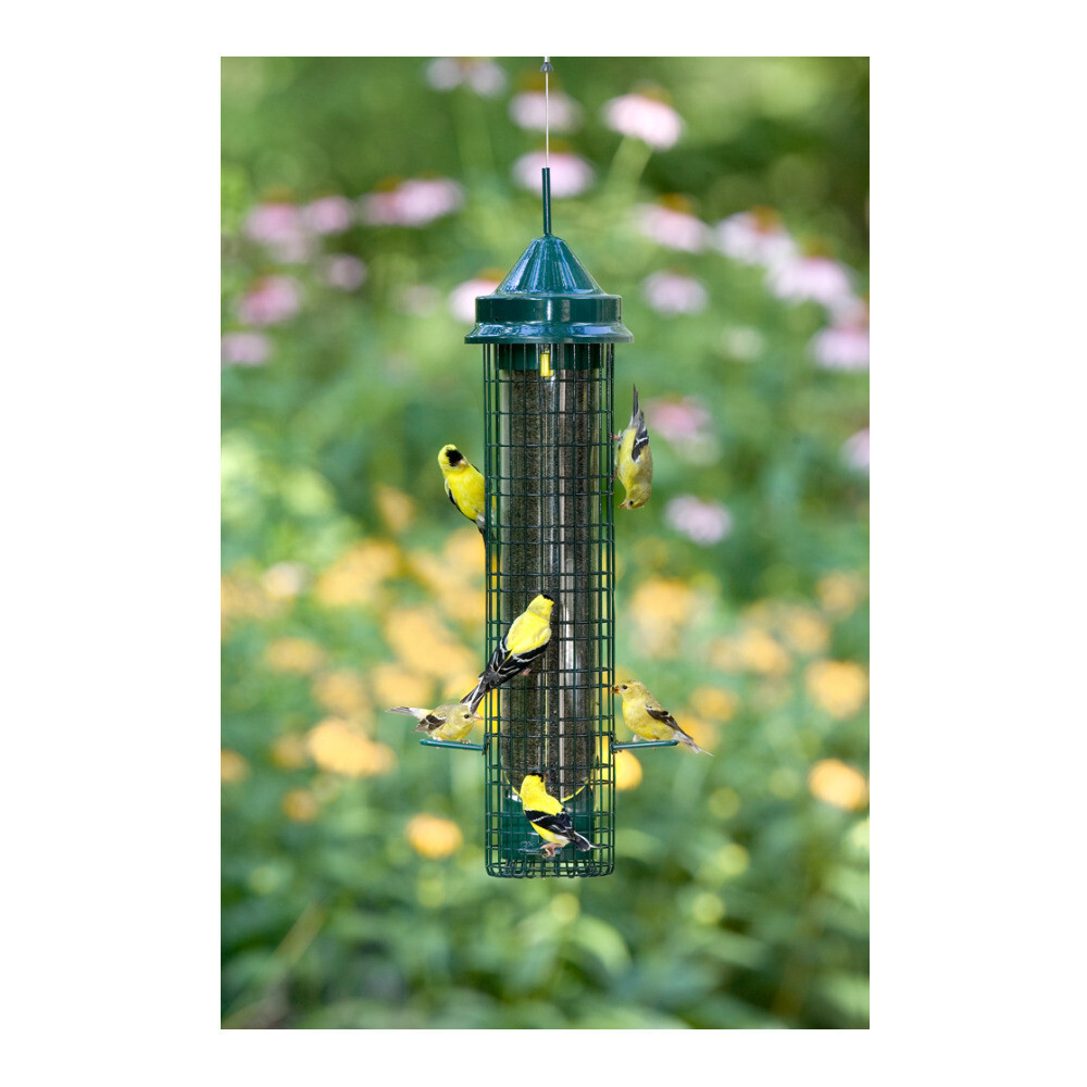 Brome Squirrel Buster Finch Squirrel Proof Bird Feeder,1016 eBay