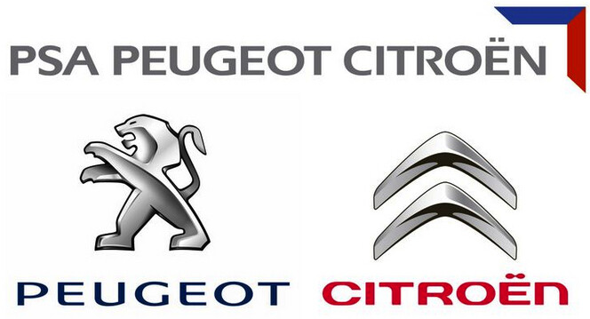 GENUINE Oil dipstick CITROEN BERLINGO C2 C3 SAXO XSARA ZX 1.1 1.4
