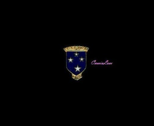 Army 23 Div. Americal (mini) + a custom promo pin