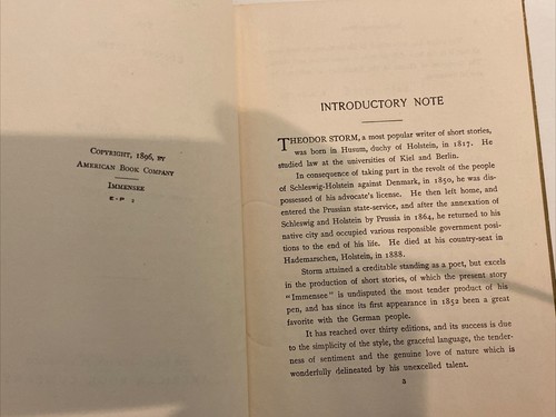 Immensee Von Theodor Storm 1896 German Language Dauer Antique Book - Picture 4 of 4