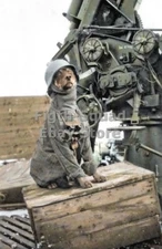 WW2 Picture Photo German Flak crew photo of their regimental mascot 5966