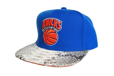 Mitchell & Ness New York Knicks Blue Basic Logo Python Hat