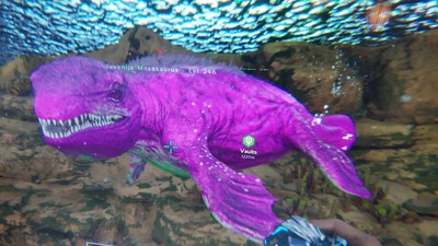 What unofficial Ark Survival Ascended servers have close to official rates, active community, and specific mods What unofficial Ark Survival Ascended servers have close to official rates, active community, and specific mods
