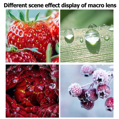 Portable Phone Camera Lens Camera Phone Lenses Smartphone Camera Lens - 第 10/12 張圖片