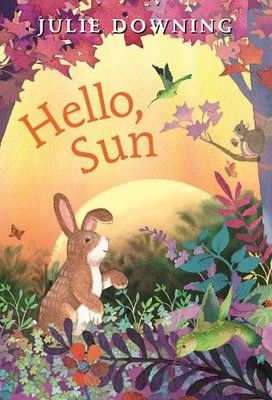 Julie Downing Hello, Sun (Kartonbuch)