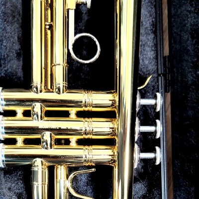 Bach TR600 トランペット Bach バック / TR-600 SP 【Bb トランペット】【出荷前調整で安心