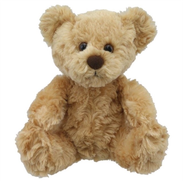 Teddy Bear Soft Toy PAPERBACK 5060711737768