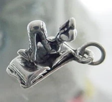 925 Sterling Silver 3D Smart Bookworm Charm