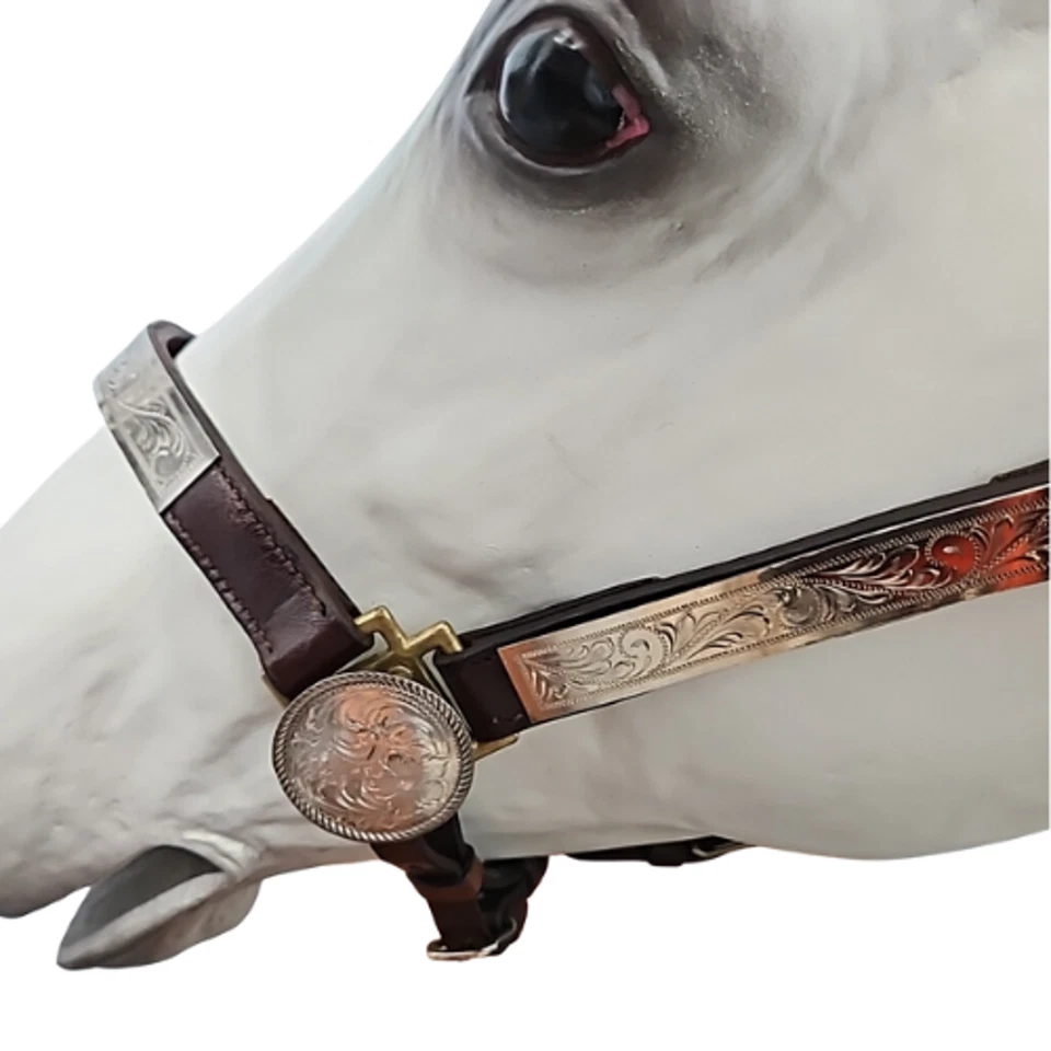 Halter Circle Y Western Silver Show #602 tamaño promedio de caballo Foto 2 de 4