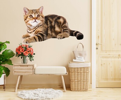 3D Cute Textured Cat 391NA Animal Wallpaper Mural Poster Wall Stickers Decal Zoe