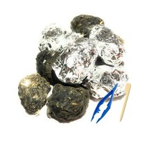 Premium Barn Owl Pellets, Small: 1.25"-1.5" Pack of 20 - Free Bone Identifi...