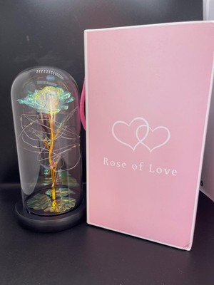 Eternal rose in a transparent dome with LED light. Valentine's Day Gift