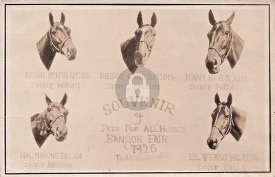 1926 Souvenir Bangor Fair Horse Harness Racing Maine ME RPPC Photo Postcard COPY