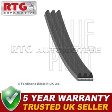 Power Steering Belt Fits Daihatsu Terios 2000-2006 1.3 4431887403 4431887403000