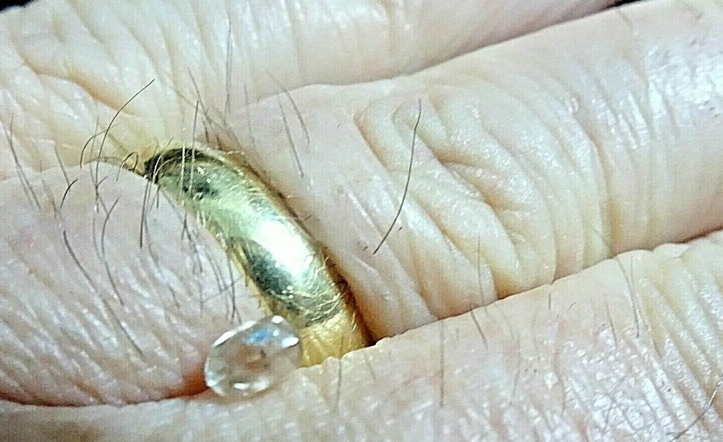 Diamant Brut Naturel - Oval - 0.5 Carats - Blanc, Qualité Excellente - Non Traité - Provenance Israël